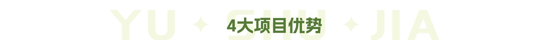 4大项目优势